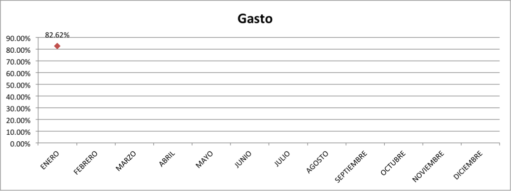 Gasto-Enero-2015