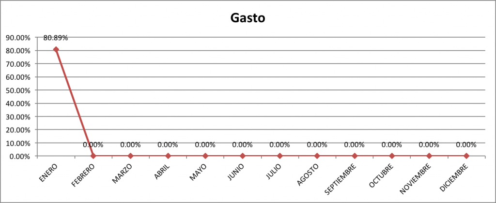 Gasto-Enero-2016